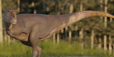 Arjantin'de yeni etçil dinozor türü keşfedildi
