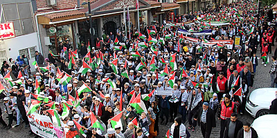 Diyarbakırlı çocuklar Gazzeli akranları için yürüdü