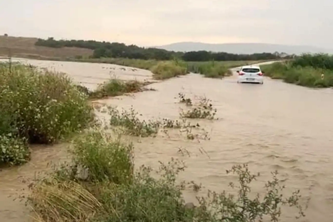 Edirne'de tarım arazileri sağanaktan zarar gördü