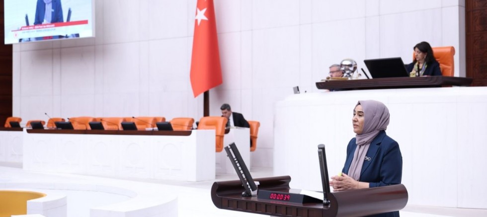 “15 Mayıs Kürt Dil Bayramı” Meclis Gündeminde