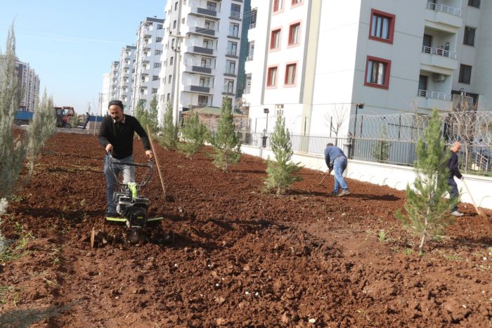 BAĞLAR BELEDİYESİ YEŞİL ALAN OLUŞTURMA  ÇALIŞMALARINA DEVAM EDİYOR