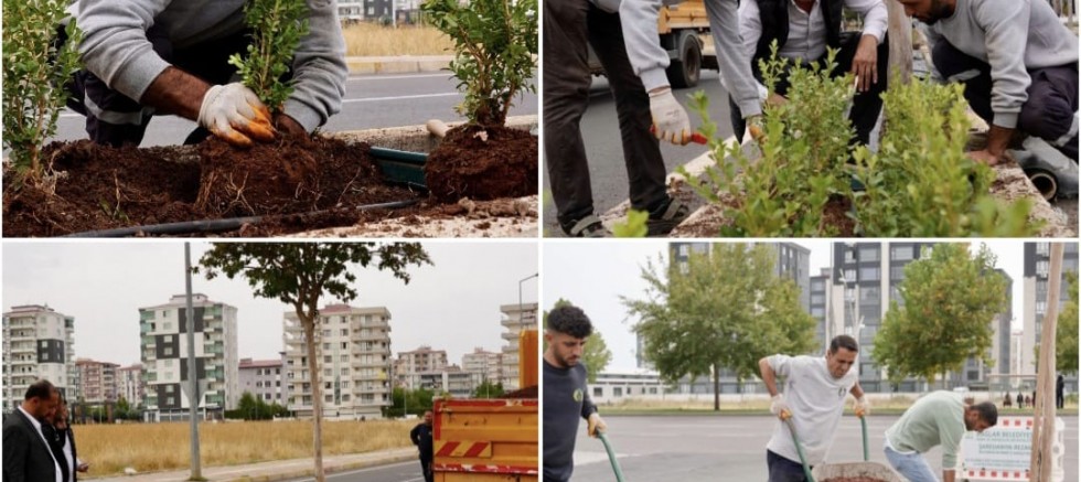 Bağlar’da 930 Metrelik Refüjde Kapsamlı Peyzaj Çalışması