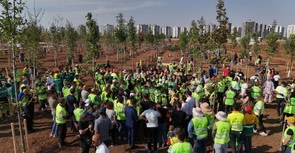 Binlerce Ağaç ile Yeşil Amed: 20 Bin Fidan Toprakla Buluşacak