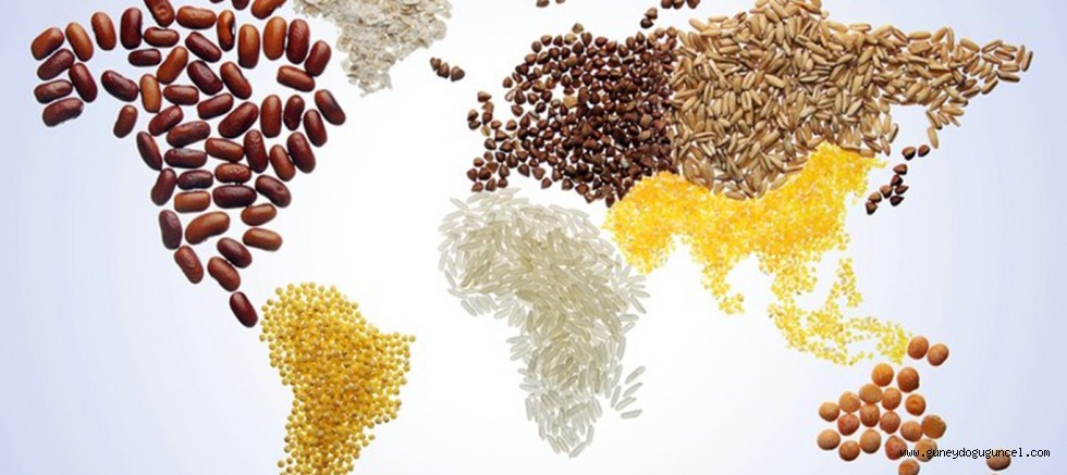 BM: Artan maliyetler nedeniyle gıda güvenliği risk altında