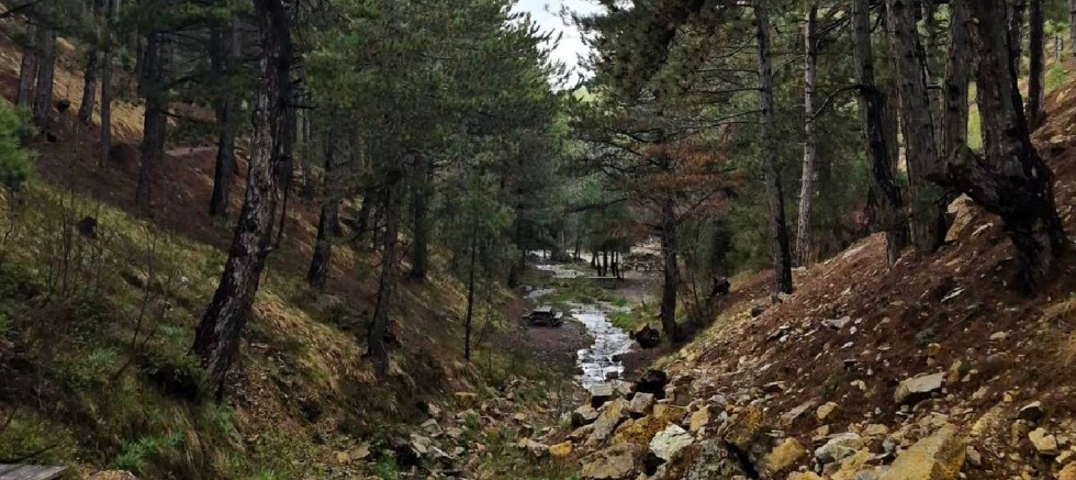 Çanakkale'de ormanlık alanlara girişler 30 Eylül'e kadar yasaklandı