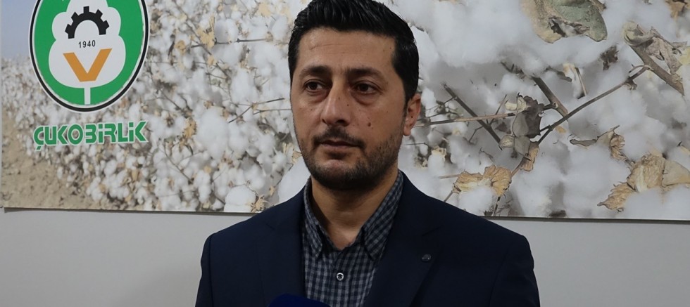 Çitçiler emeğinin karşılığını istiyor: Destek artarsa pamuk alanları büyüyecek