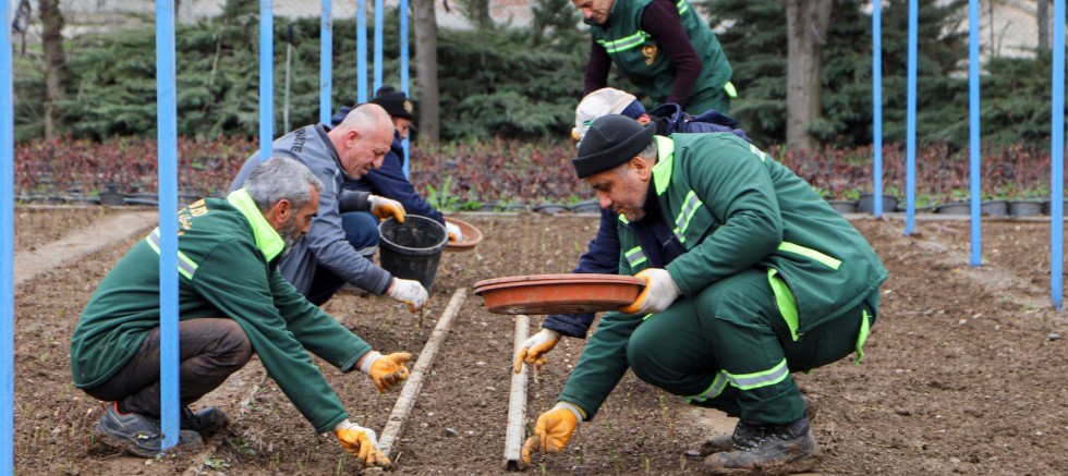 DBB KENDİ GÜLÜNÜ ÜRETİYOR