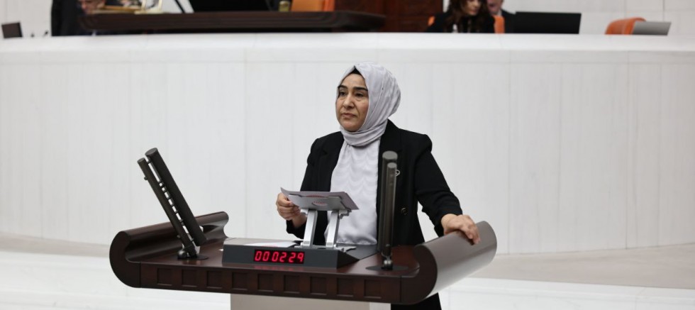 DEM Partili Gülderen Varlı’dan Zeynep Varlı İçin Soru Önergesi