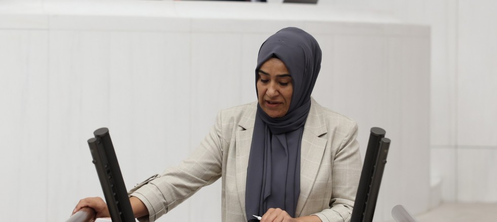 DEM Partili Varlı’dan Meclis Araştırma Komisyonu Çağrısı