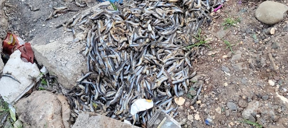 DİYARBAKIR BAĞCILAR’DA SKANDAL!