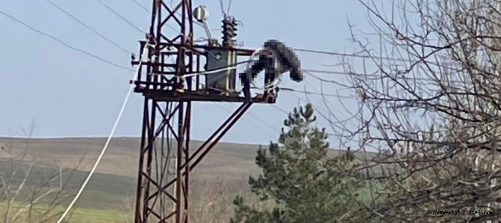 Diyarbakır’da Çıktığı elektrik trafosunda yüksek akıma kapılarak hayatını kaybetti