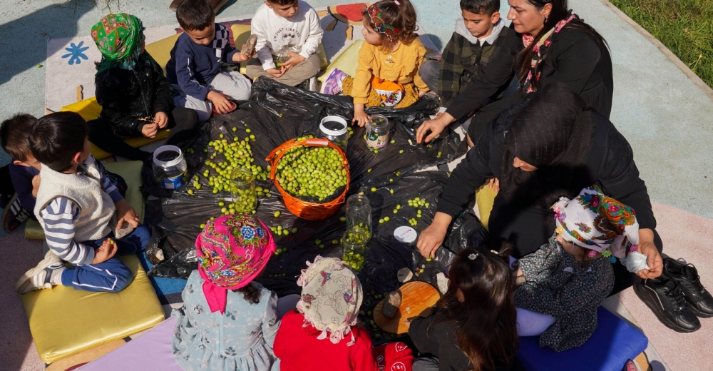 Diyarbakır’da çocuklar geleneksel yöntemlerle zeytin kırdı