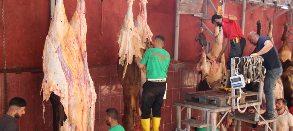 Diyarbakır’da dört yardım kuruluşunun kurban kesimleri başladı