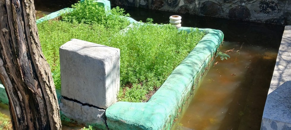 Diyarbakır’da İhmal Tepki Çekti: Şehitlik Mahallesi Mezarlığında Ziyaret Çilesi