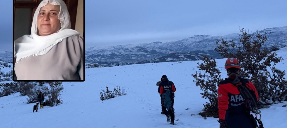 Diyarbakır'da kaybolan kadını arama çalışmaları 3'üncü gününde