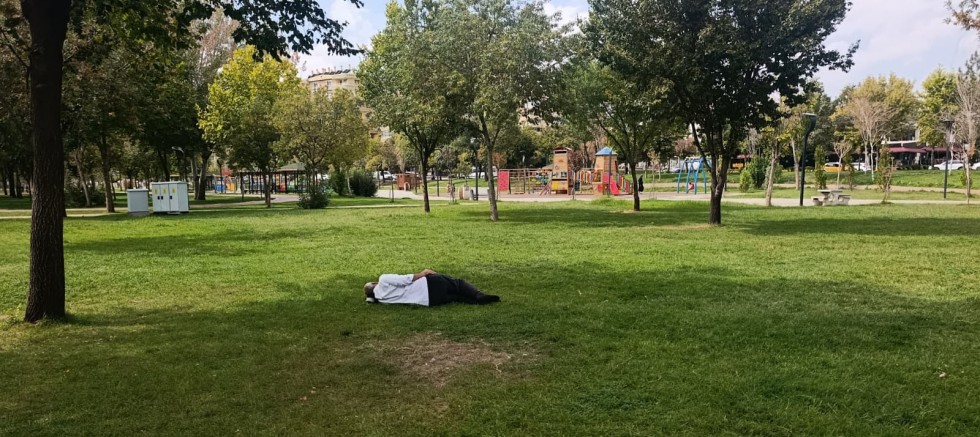 Diyarbakır’da Parkta Tatlı Rehavet: Serinliği Fırsat Bilip Çimlerde Uyudu