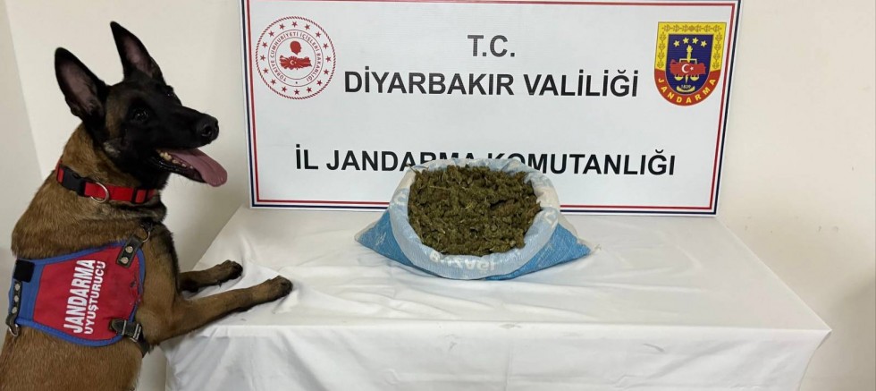 Diyarbakır’da Uyuşturucu Operasyonu: 23 Kilogram Esrar Ele Geçirildi