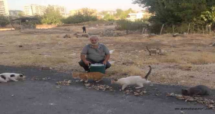 Diyarbakır'ın Derman Baba'sı sokak hayvanlarını unutmadı