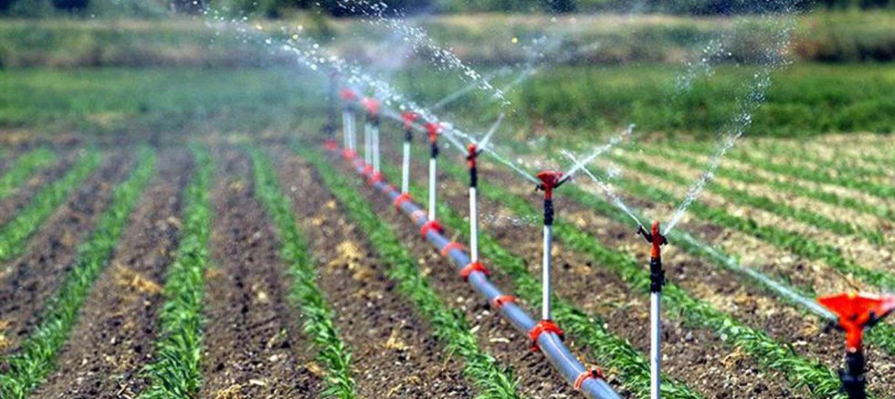 DSİ verilerine göre sulama yatırımları tarıma 12 milyar liralık katkı sağladı