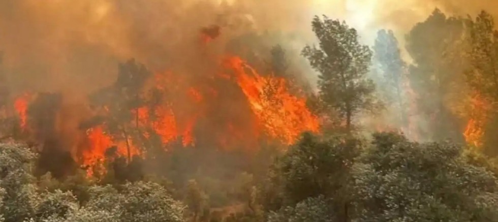 Eskişehir'deki orman yangınında hayatını kaybedenlerin isimleri belli oldu  