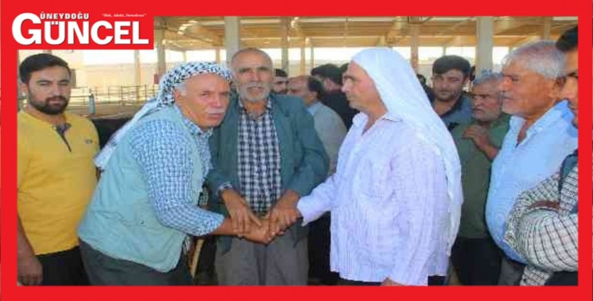 Hayvan pazarlarında hareketlilik başladı