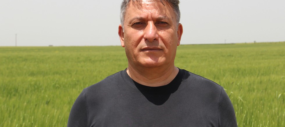 Hububat hasadına hazırlanan çiftçinin gözü buğday fiyatında