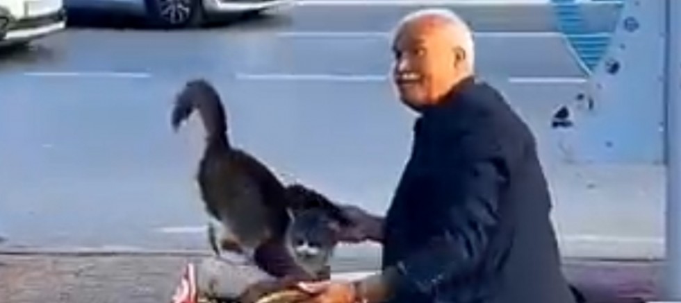 Kadıköy’ün “Cengiz Baba”sı Sokak Hayvanlarının Sesi Oldu