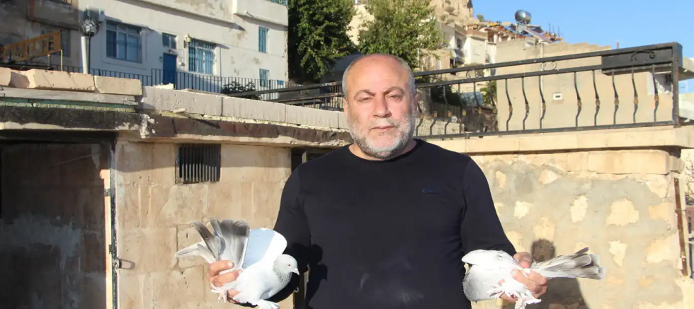 Kadim Kentin Kadim Mirası: Mardin güvercini