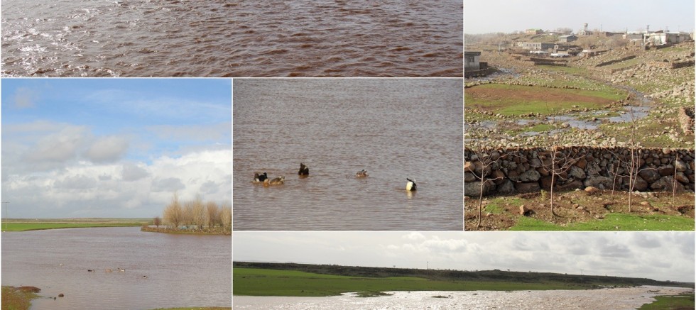 Karacadağ'da dereler doldu taştı göletler suya doydu
