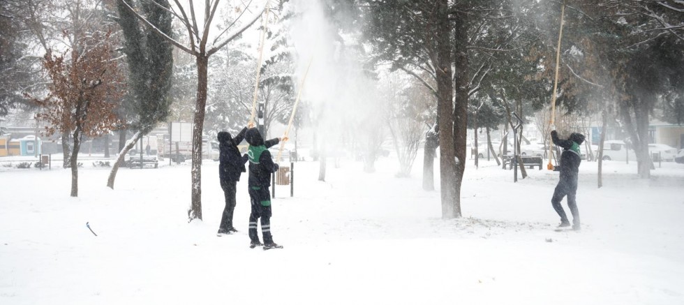 Kayapınar Belediyesi Binlerce Ağaç Zarar Görmekten Kurtarıldı