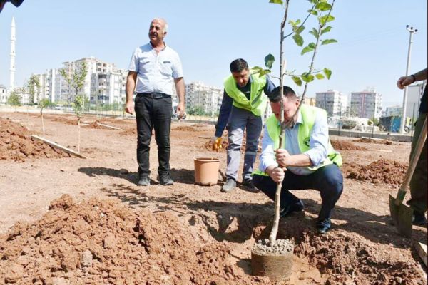 KENT İÇİ TARIM MEYVE VERMEYE BAŞLADI!