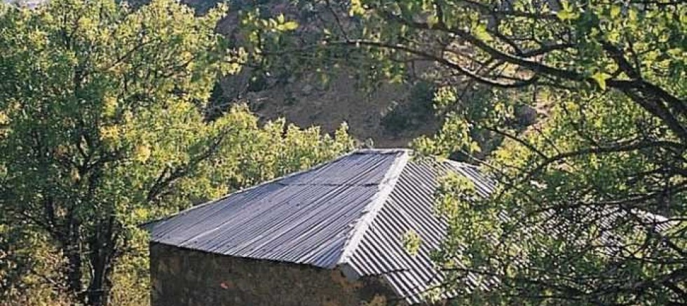 KÜRT MEDRESELERİ VE ÂLİMLERİ-2