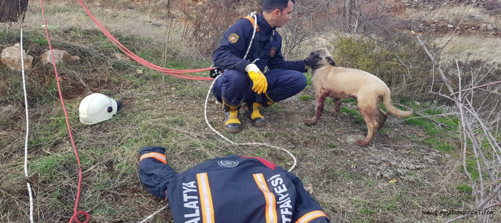 Malatya’da 15 metrelik su kuyusuna düşen köpek kurtarıldı    