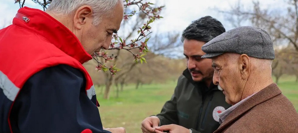 Malatya Tarım ve Orman İl Müdürü Akar: Dolu zararı için kesin tespit çalışmaları sürüyor