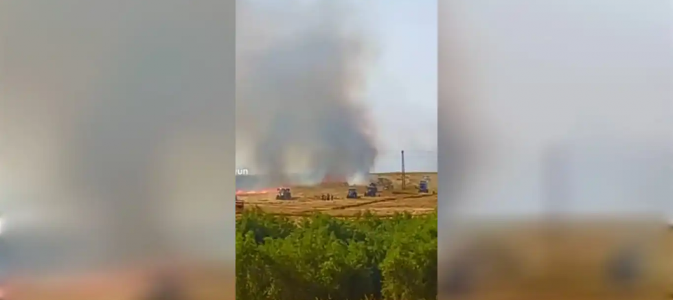 Mardin’de bin 300 dönüm ekili arazi yandı