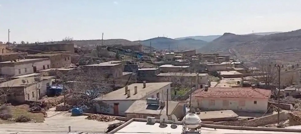 Mardin’de kuduz şüphesiyle bir mahalle karantinaya alındı