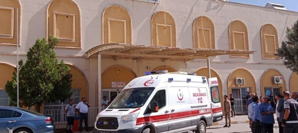 Mardin'de saldırıya uğrayan orman işçisi hayatını kaybetti