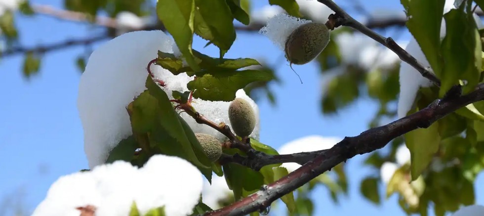 Meteoroloji uyardı: Zirai don, çığ ve toz taşınımına dikkat