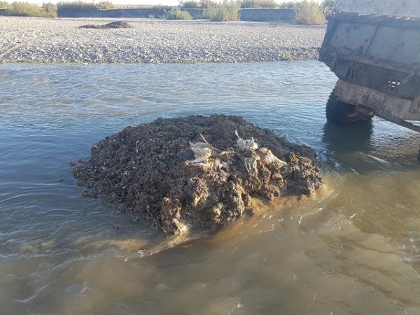 NEHRİ KİRLETEN ŞAHIS  HAKKINDA YASAL İŞLEM