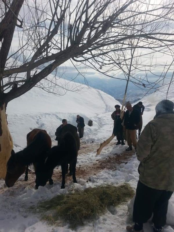 ÖLÜME TERK EDİLEN HAYVANLARA KÖYLÜLER SAHİP ÇIKTI