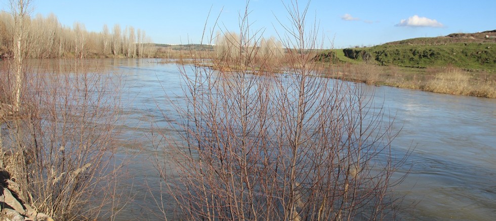 On Gözlü Köprü çevresinde su yükseldi: Dicle Nehri'nde son durum