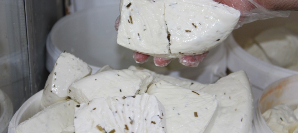 Peynir fiyatları cep yakıyor: Koyun peyniri 650 liraya ulaştı