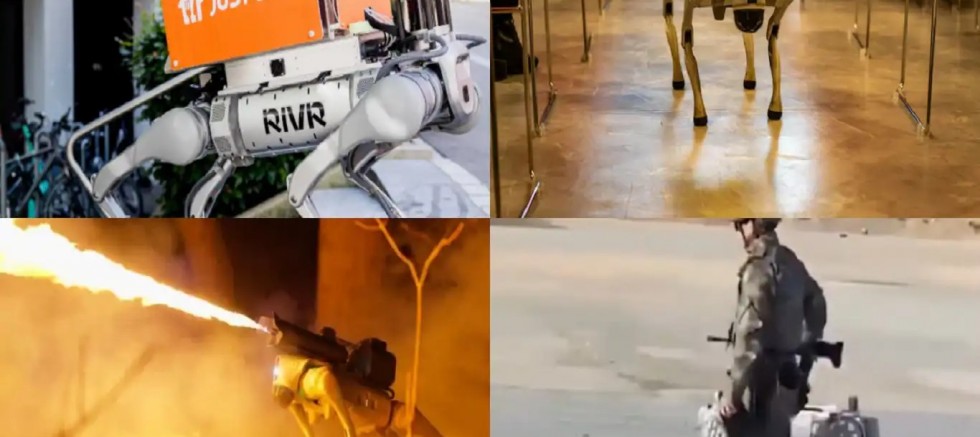 Robot köpeklerin kullanım alanı hızla genişliyor