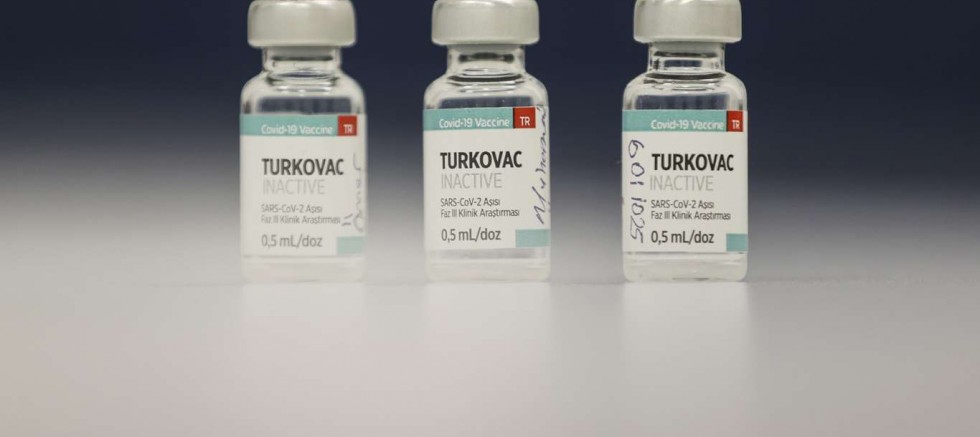 Sağlık Bakanı Koca'dan Turkovac aşısı çağrısı