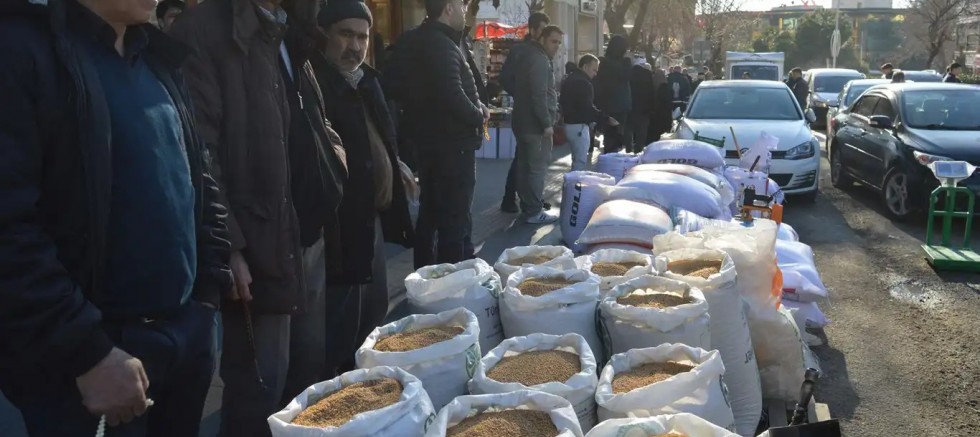 Siirt'te fitrelik buğday geleneği sürüyor