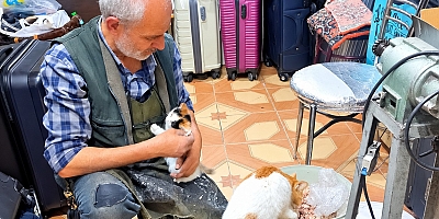 15 Yıldır Sokak Hayvanlarının Umudu: “Bir Tas Su, Bir Kap Mama Hayat Kurtarır”