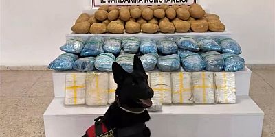 63 ilde narkotik operasyonu: Bir tonu aşkın uyuşturucu ele geçirildi