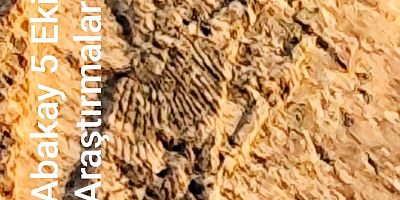 Abakay: Eğil Kalesi Steli’nde Asur çivi yazısı izleri olabilir