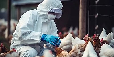 ABD’de H5N5 kuş gribi kaynaklı ilk insan ölümü