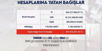 AFAD: Sel ve yangın için 967 milyon 652 bin TL bağış yapıldı